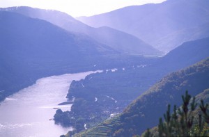 austrialower-austria-wachau-wine-landscape-autum-harvestdanube-river-3