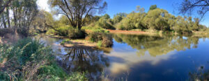 8_unbenanntes_panorama-sept2026_64
